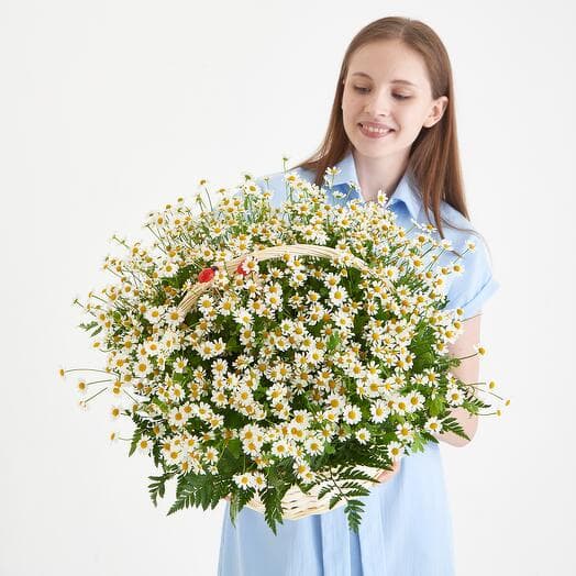 Basket with daisies