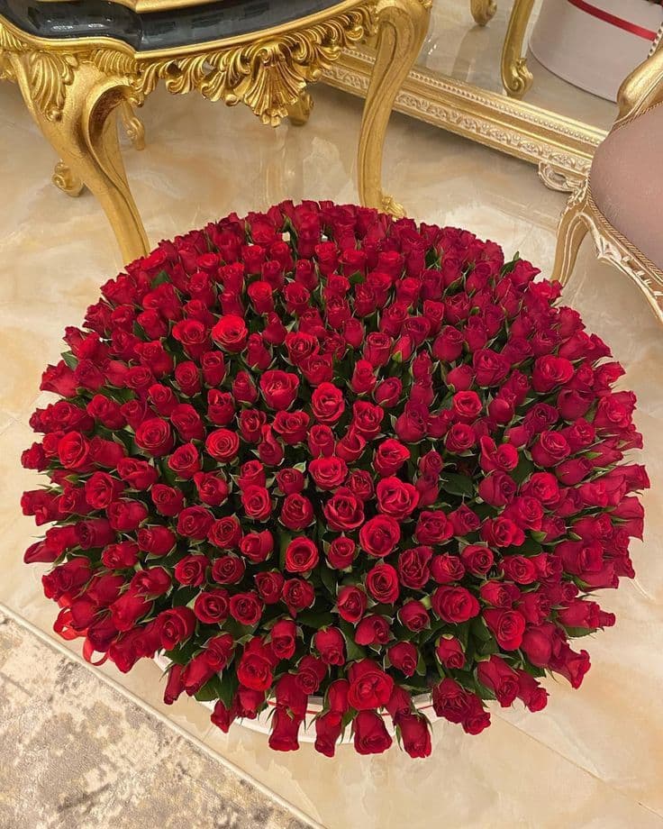 1001 Red Roses Delicate 🌹💫