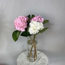 A set of hydrangeas with a vase0