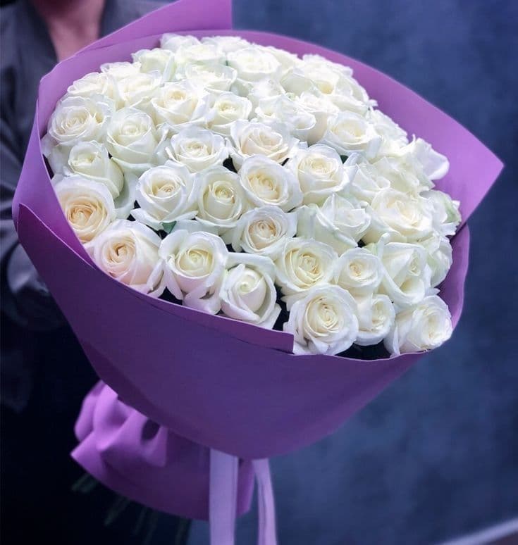 51 White Roses Premium
