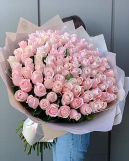 11 pink roses0