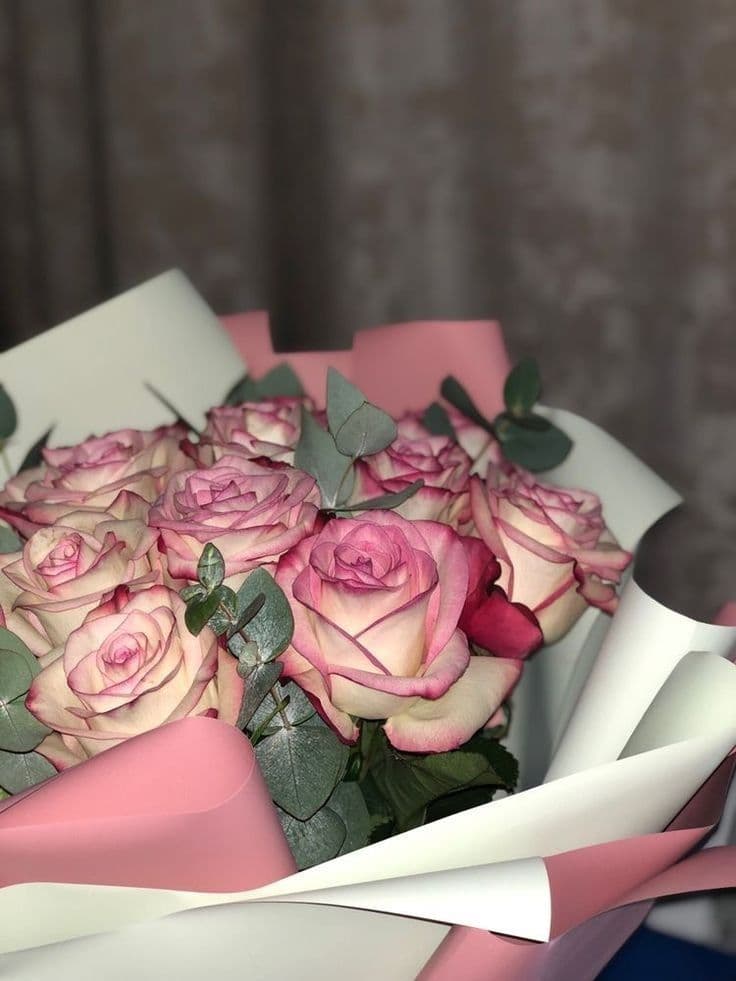 51 Pink Roses 50 cm Premium 🌸