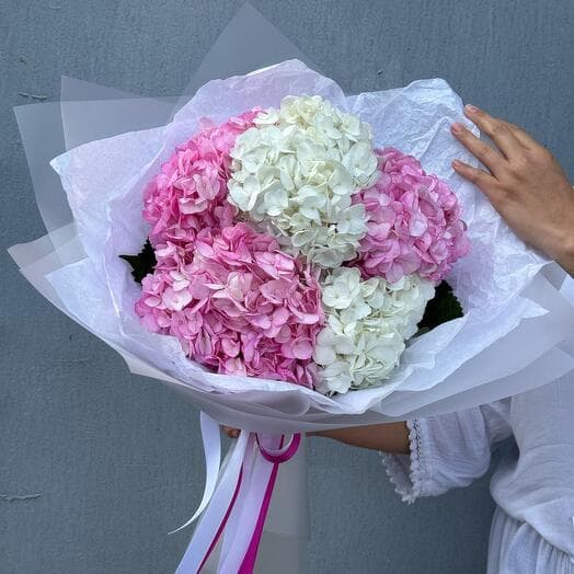 Букет бело-розовый микс из гортензии (гортензия белая и розовая 5 шт)