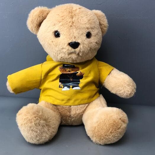 Bear in a sweater with a hood