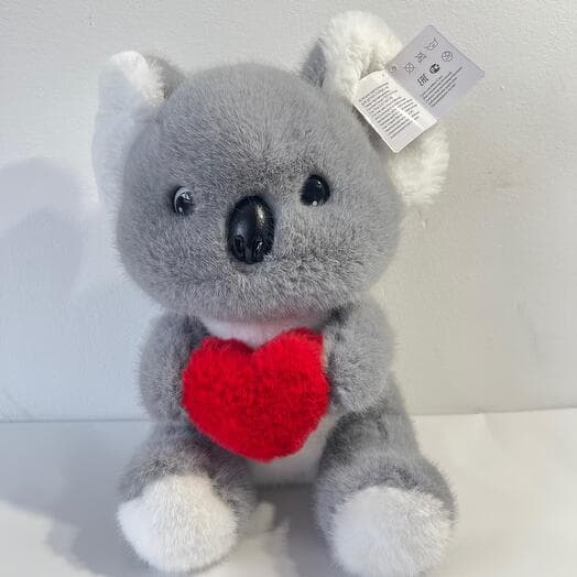 Koala Middle 🐨