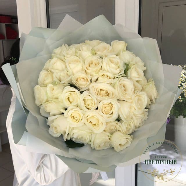 51 розы белые элитные