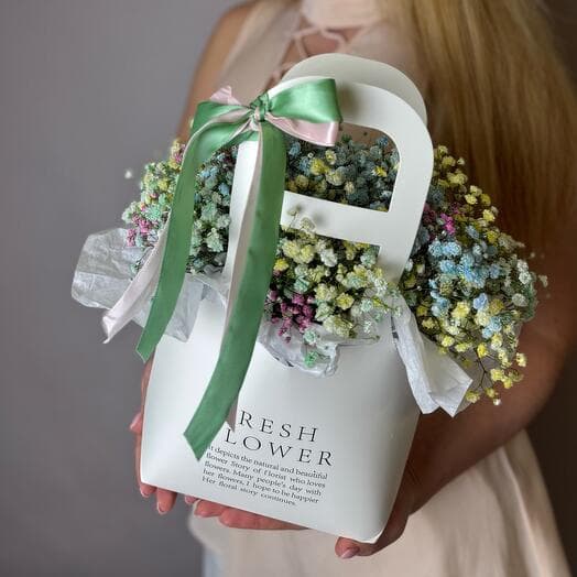 Rainbow gypsophila in purse