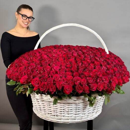 501 роза элитная