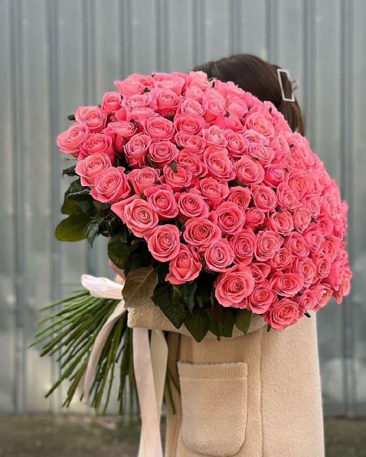101 Pink Roses 50 cm Delicate 💫