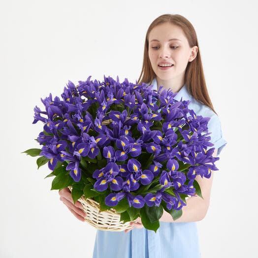 Irisa basket 51 Iris