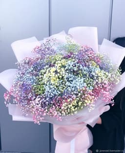 31 гипсофила0