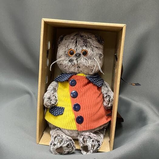 Soft toy Cat Basik in a multi -colored shirt