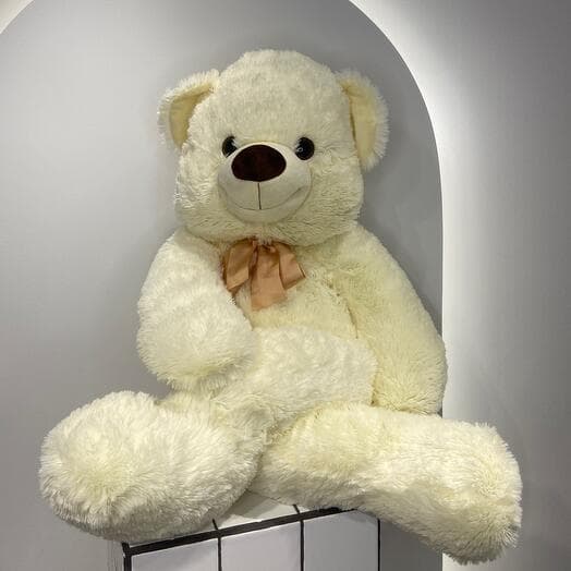 Soft toy "Bear Zhenya"