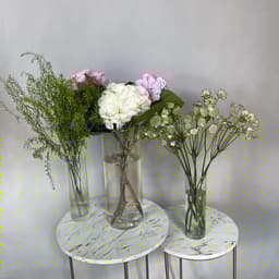 A set of flowers for a house with vases0