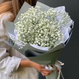 5 гипсофила0