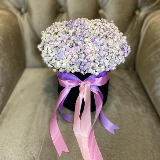 Rainbow gypsophila
