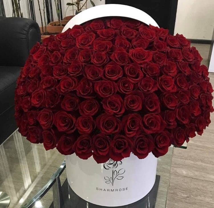 1001 красная роза премиум 🌹✨