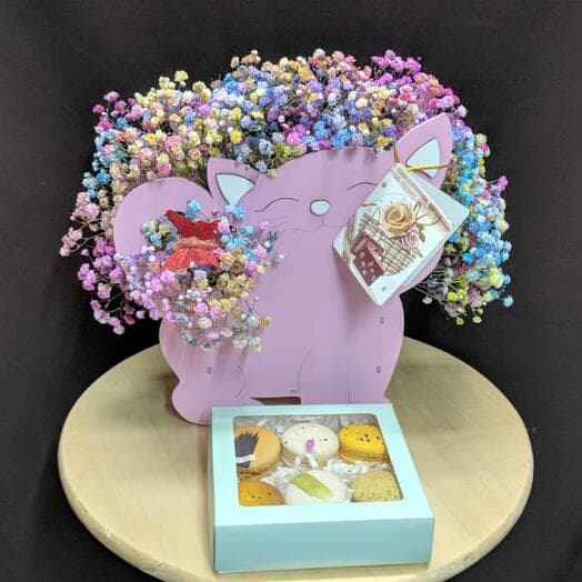 A cat with gypsophila and delicious pasta pasta