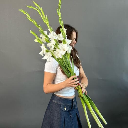 White gladioli s