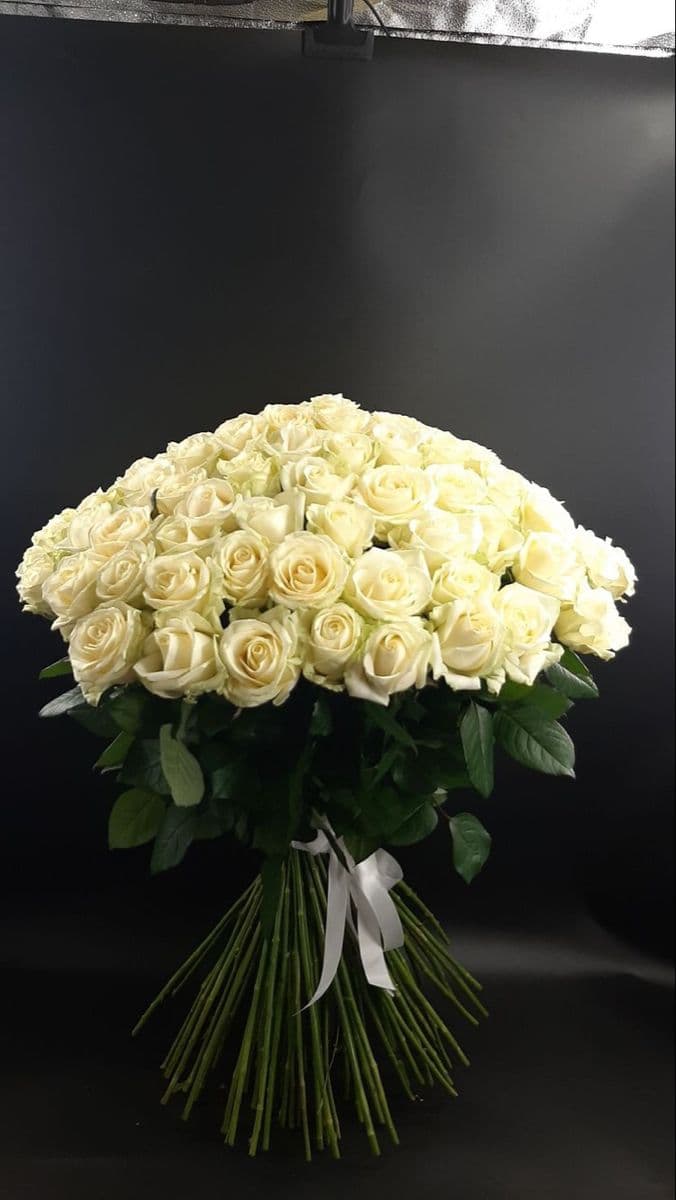 7 white roses