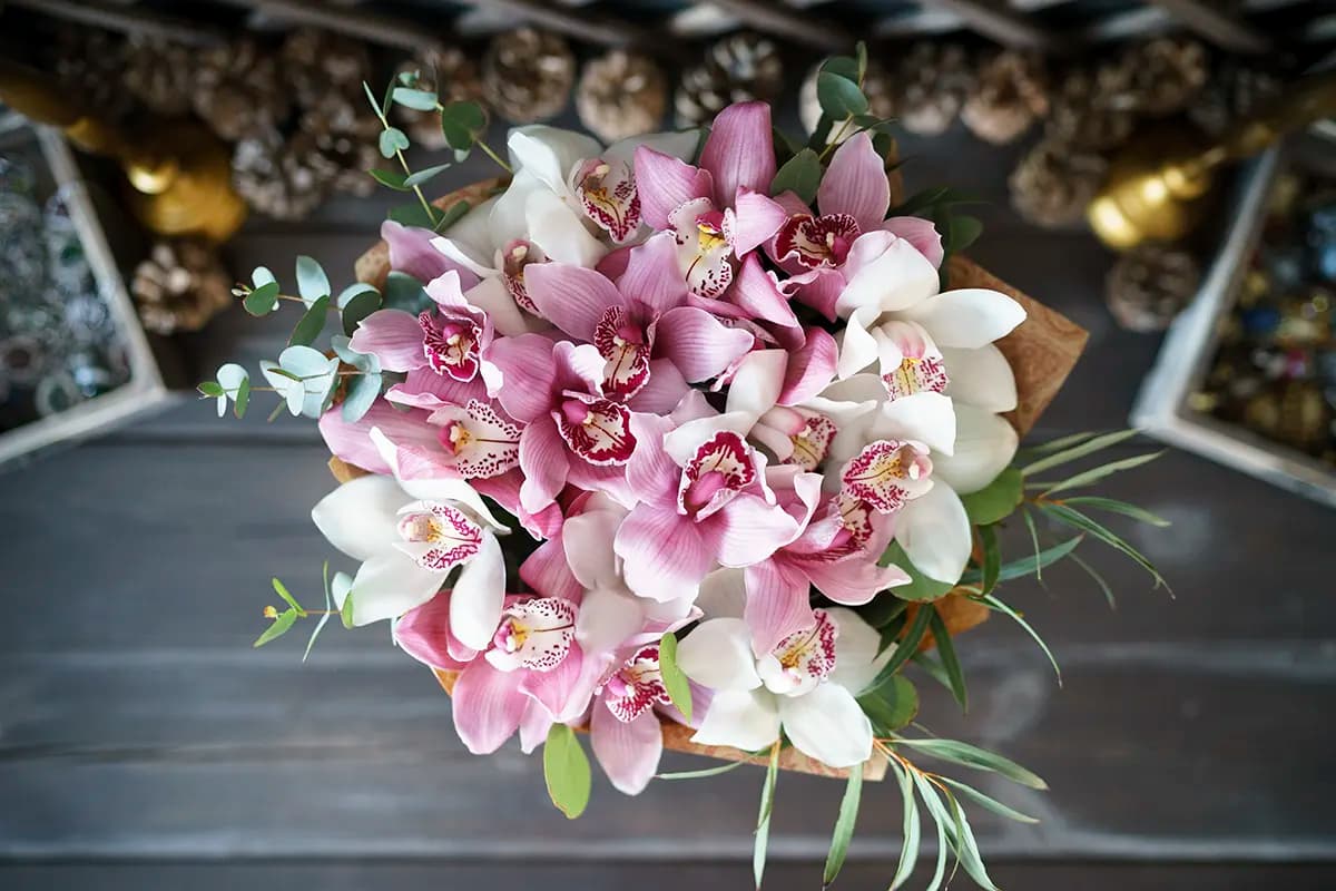 21 orchid