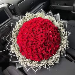 25 Red Roses Exquisite 🌸0