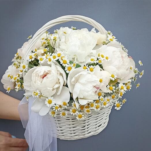Pion basket