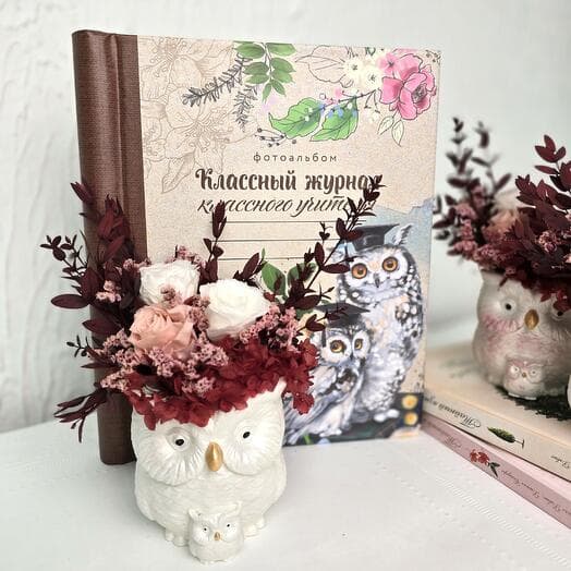 Gift set to a teacher from stabilized colors and an album / bouquet to the teacher