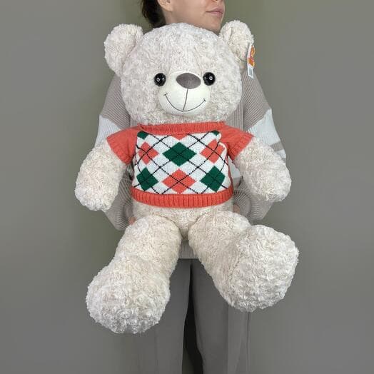 Bear in a sweater