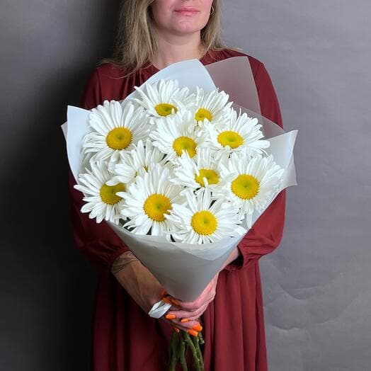 Chamomile 11 pcs. Bouquet F065 Capital flowers
