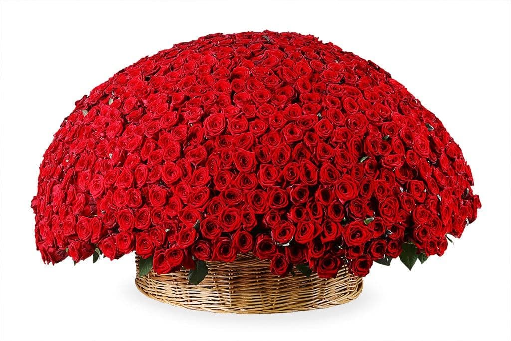 Bouquet of 1001 roses with delivery 🌹