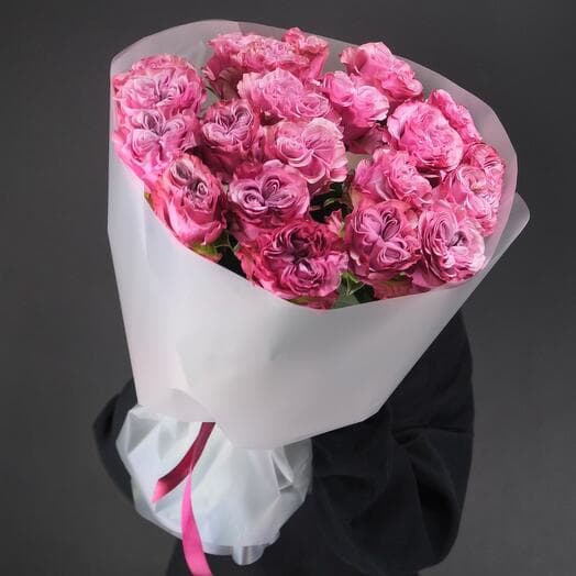 21 Pionovid rose Country Blues MB103