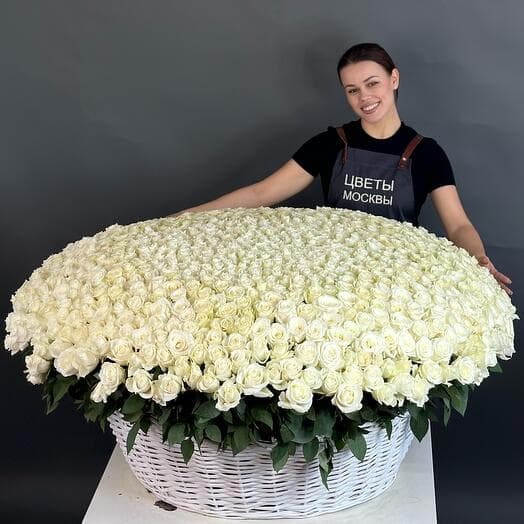 1001 Rose is white