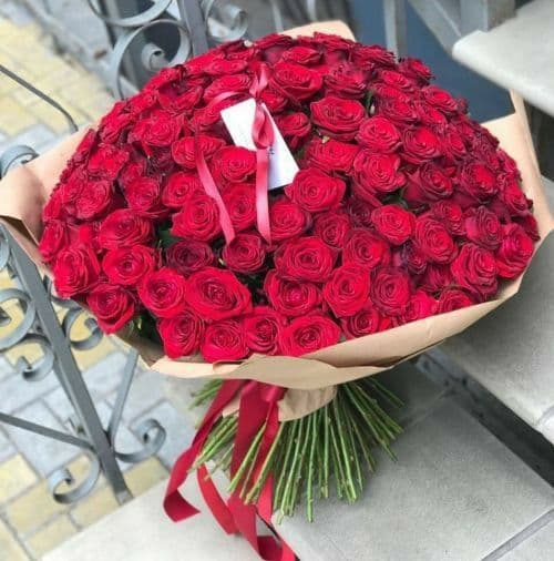 101 Red Roses Elegant 🌹🌷
