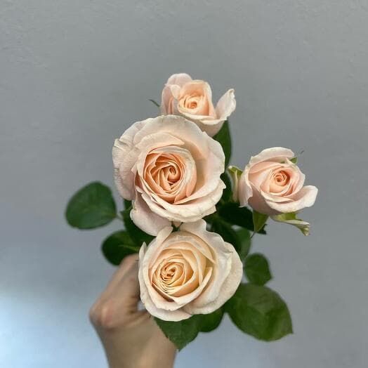 Bombastic bombstick 60 cm