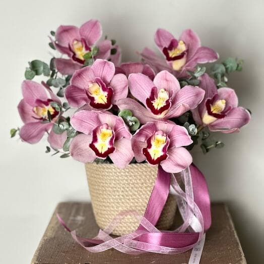 Orchids