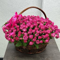 Raspberry bush rose in the basket0