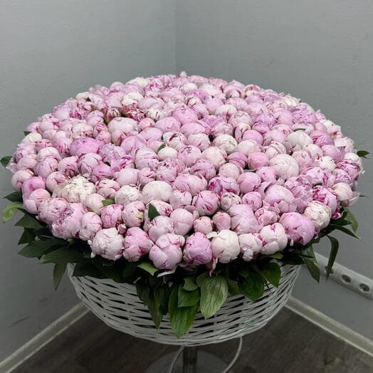 201 Пион — Корзина Впечатлений 💕