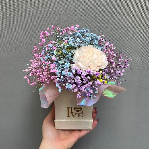 Gypsophila with diantus in the box