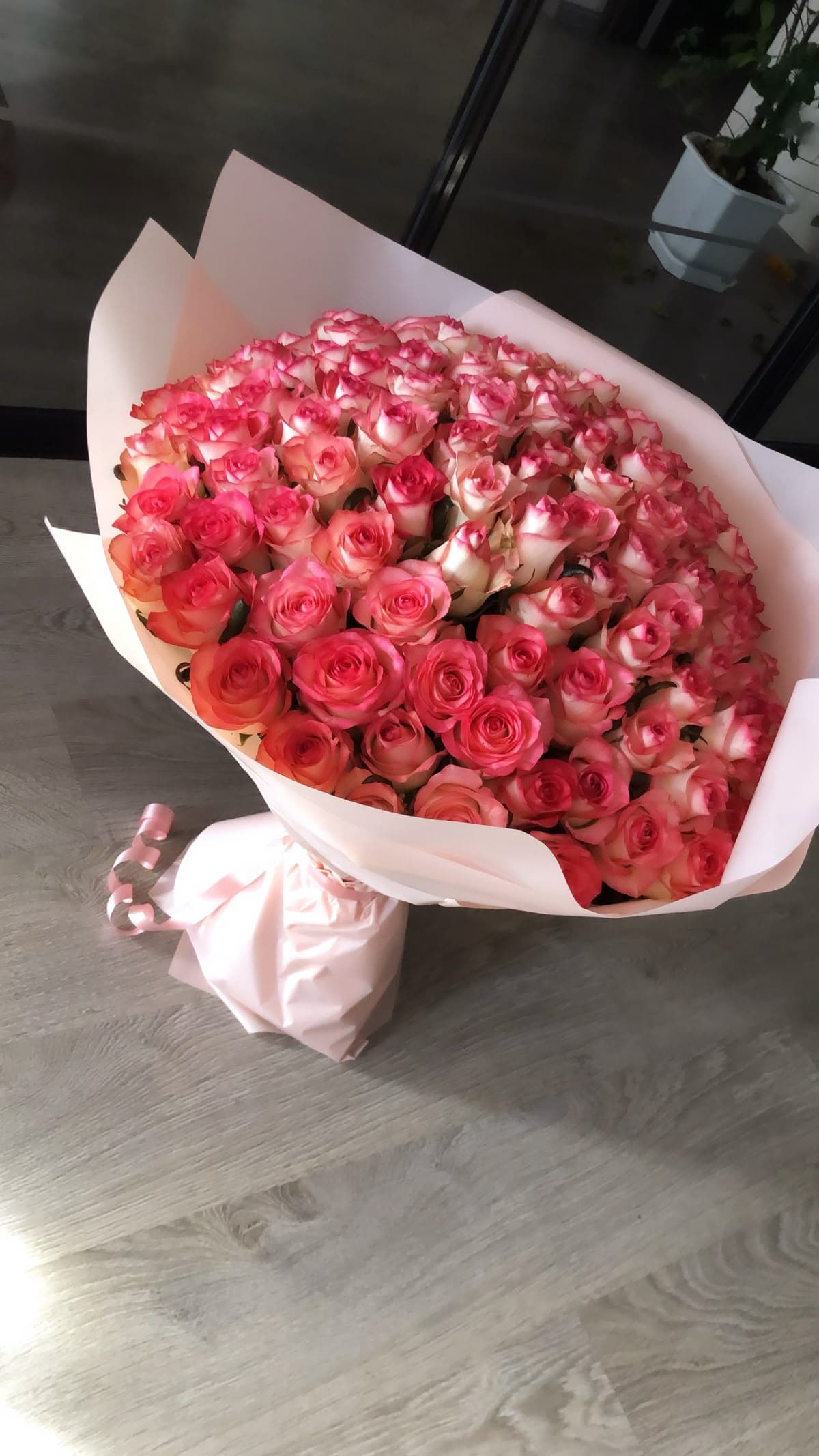 Bouquet of 1001 roses with delivery 🌹