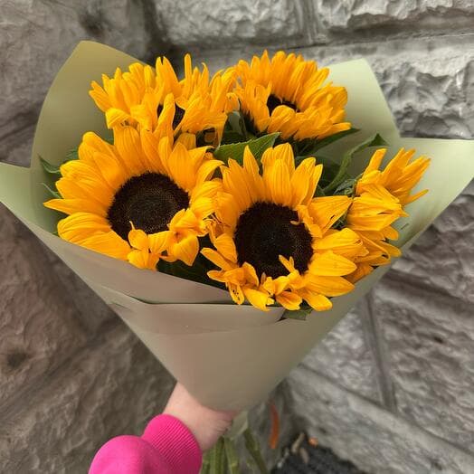 Sunflowers 2
