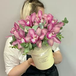 Box with fragrant orchids and eucalyptus. Vkf80