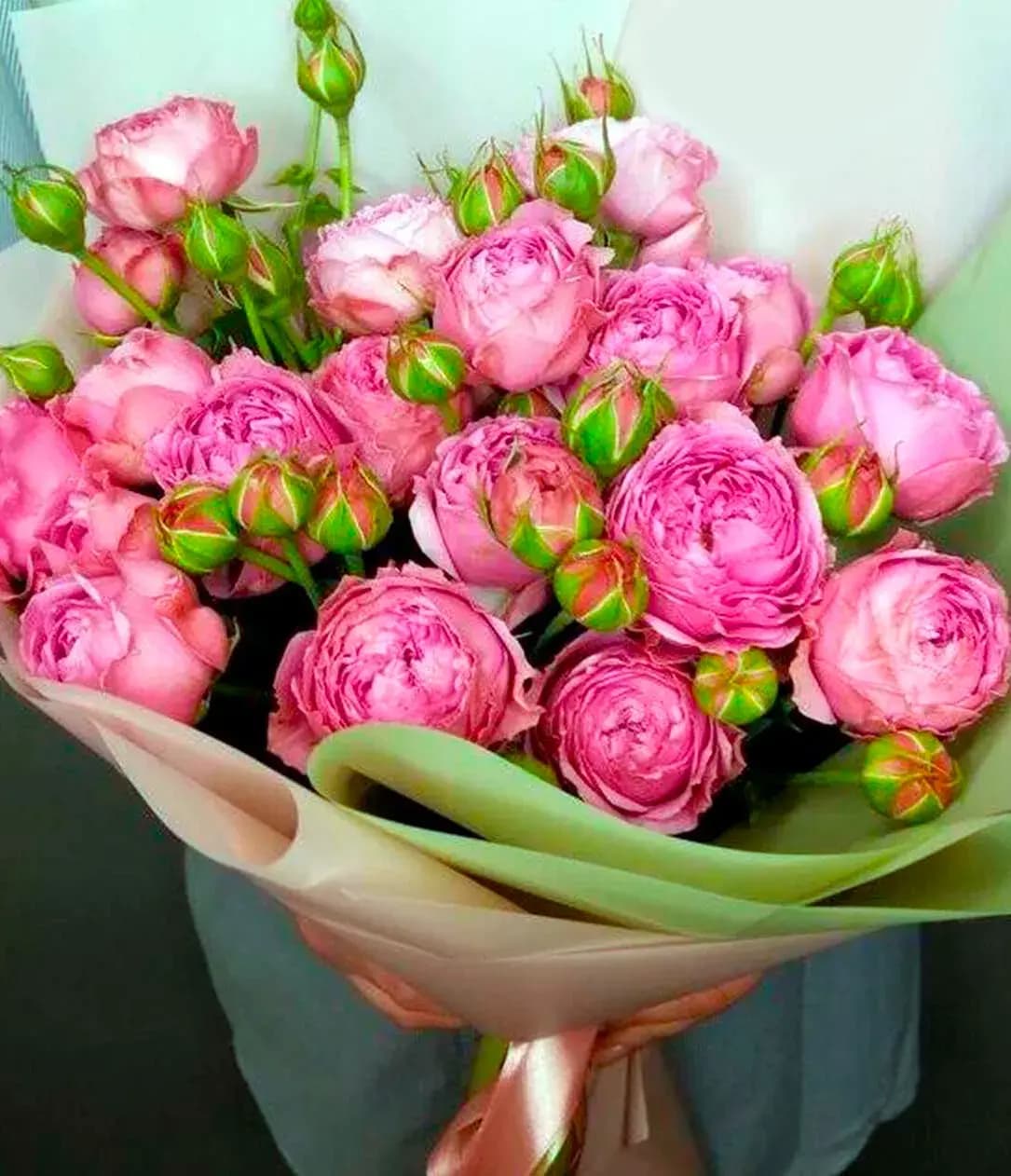 5 peony roses