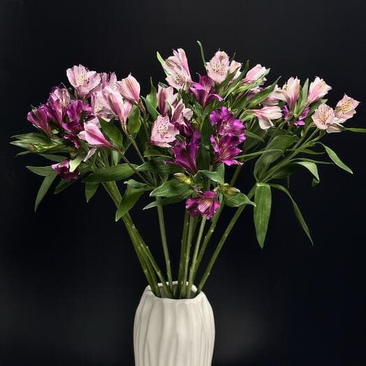 Interio💎 "Alstromeria Mix Fortuna"