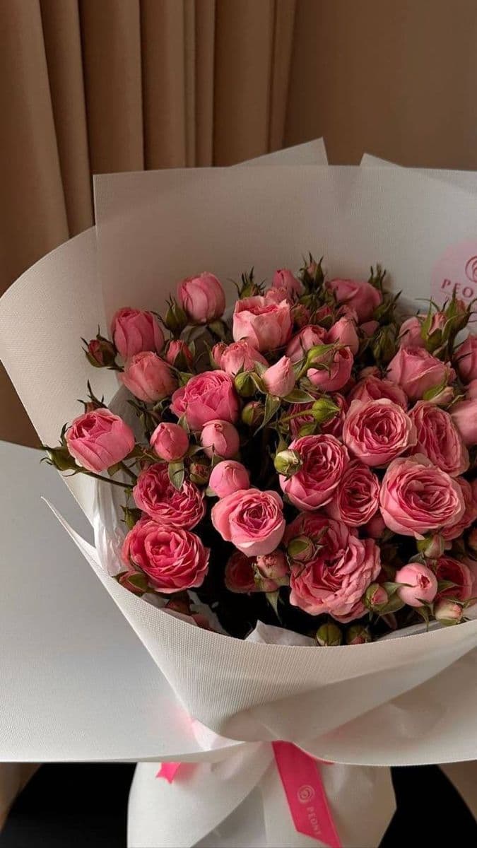 51 Pink Roses 50 cm Luxurious 💎