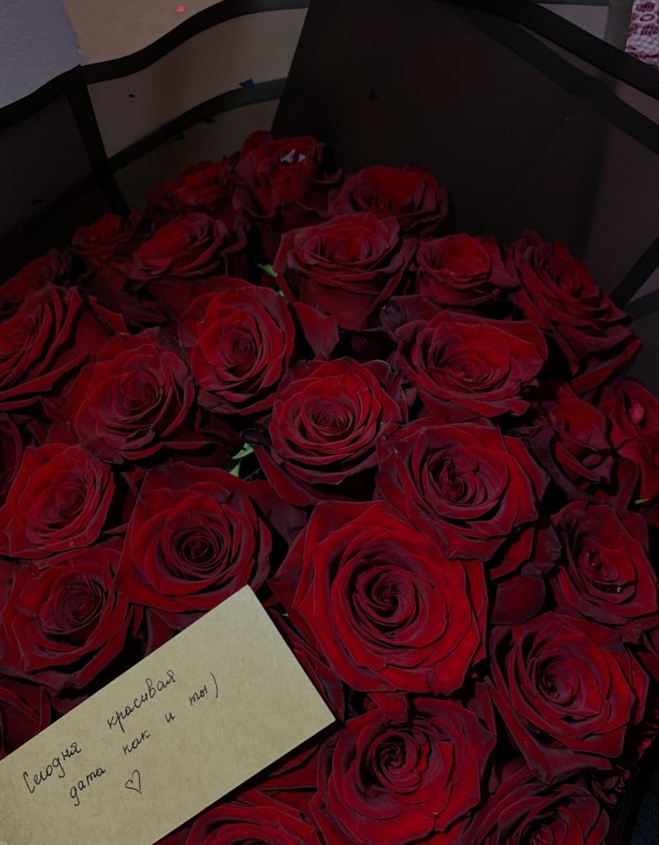 101 Red Roses Tender 🌹💫
