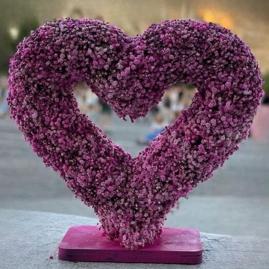 Gypsophila heart
