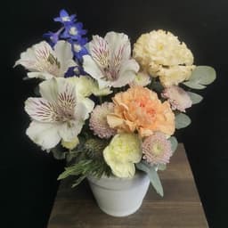 Flower composition with dolphinium, alstromerias, diantus, chrysanthemum and eucalyptus in handmade pots0