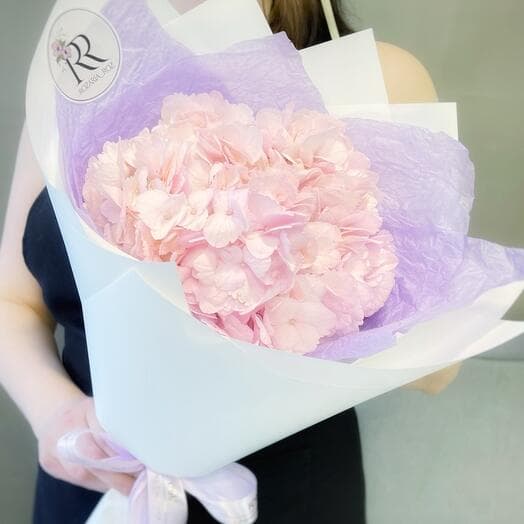 Hydrangea is pink