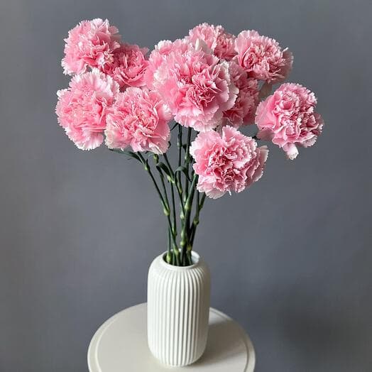 Cloves (Dianthus)